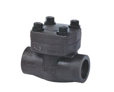 Forge  small size  check valve