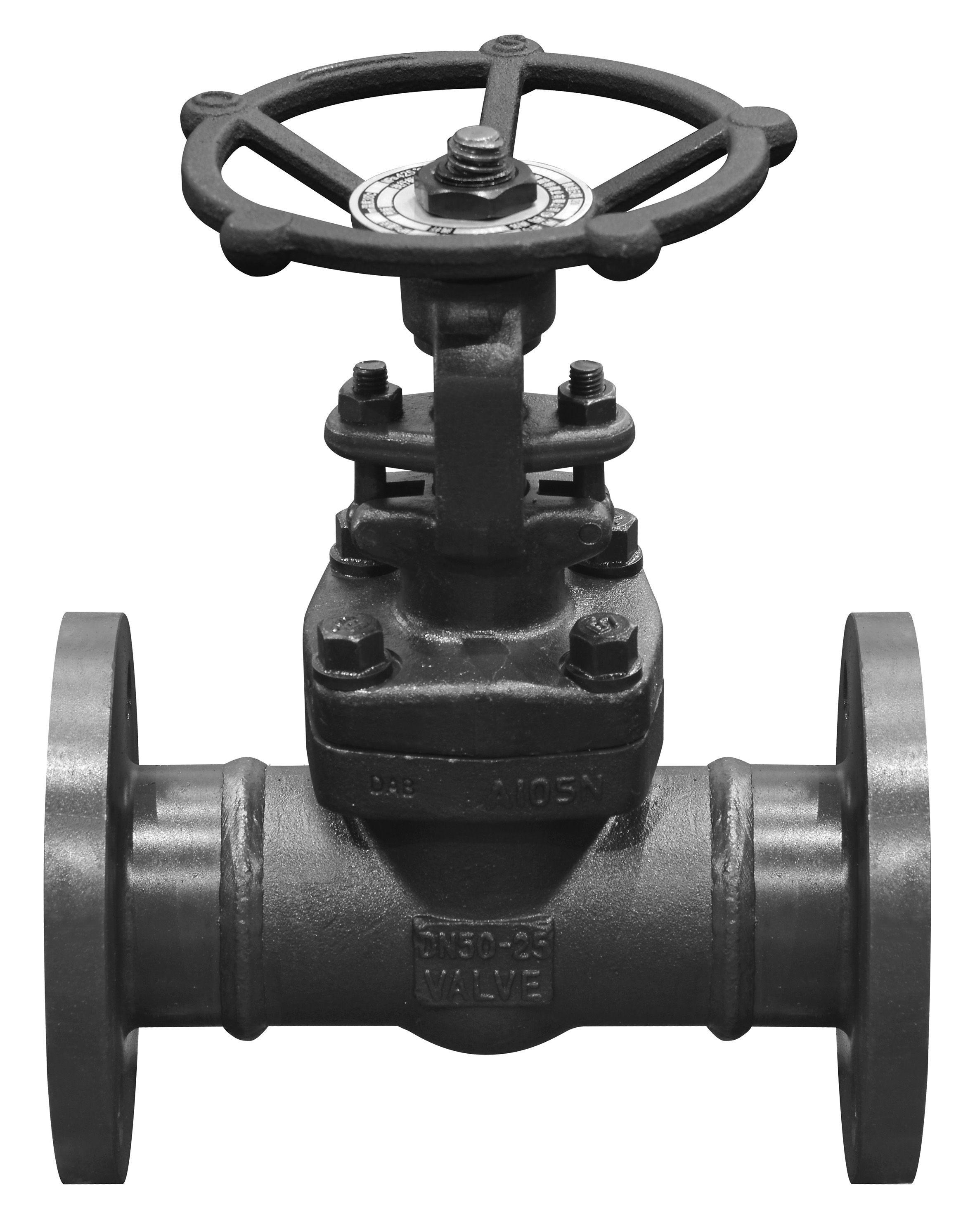 Gate valve - Forged gate valve - Products - KAIRUITE VALVE CO.,LTD
